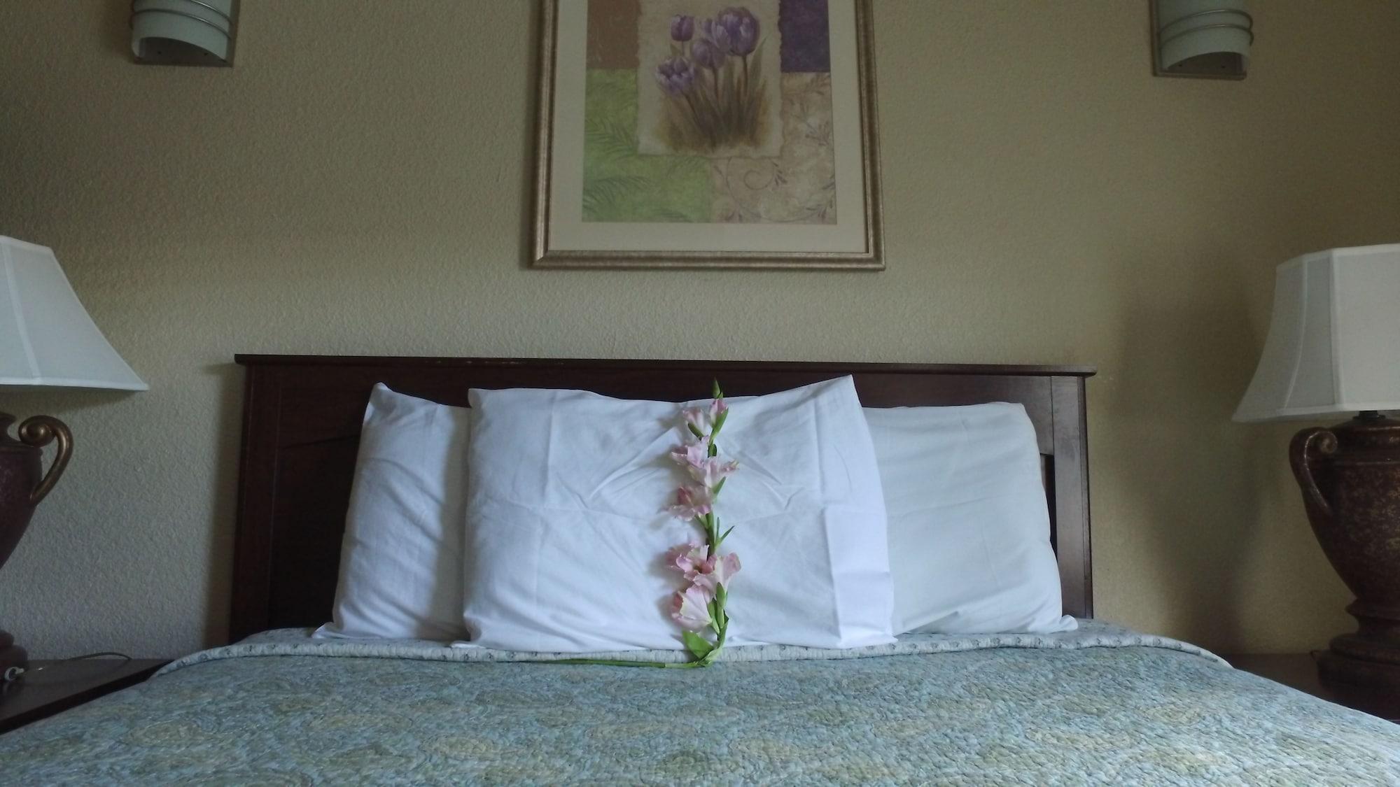 Athens Hotel & Suites Houston Buitenkant foto