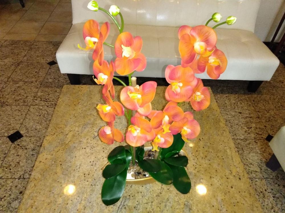 Athens Hotel & Suites Houston Buitenkant foto
